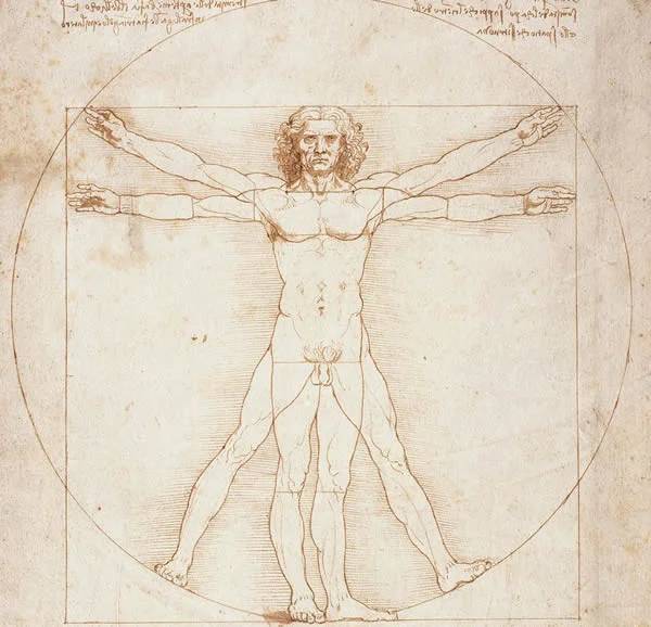 L'Homme de Vitruve de Léonard de Vinci